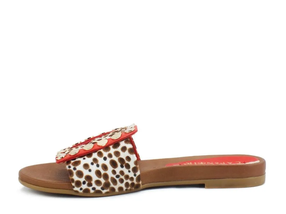 CAFèNOIR Ciabatta Multi Rosso GGA109