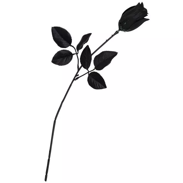 Rosa nera 40 cm