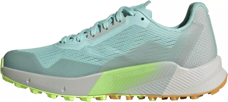 Scarpe per sentieri adidas TERREX AGRAVIC FLOW 2 GTX W