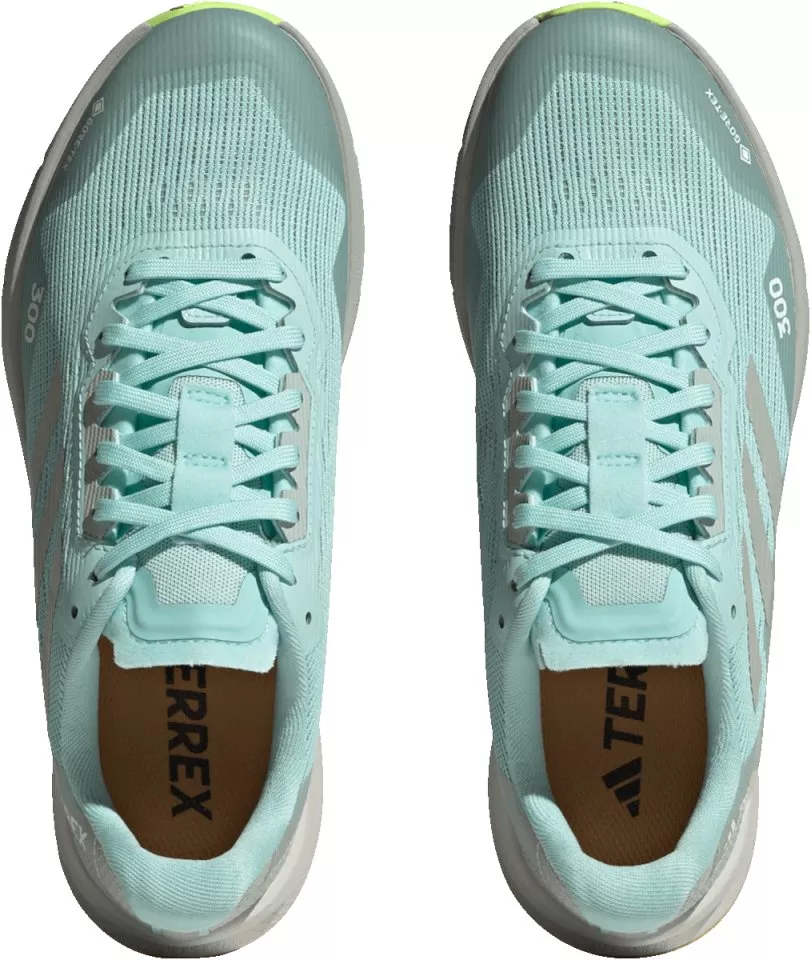 Scarpe per sentieri adidas TERREX AGRAVIC FLOW 2 GTX W