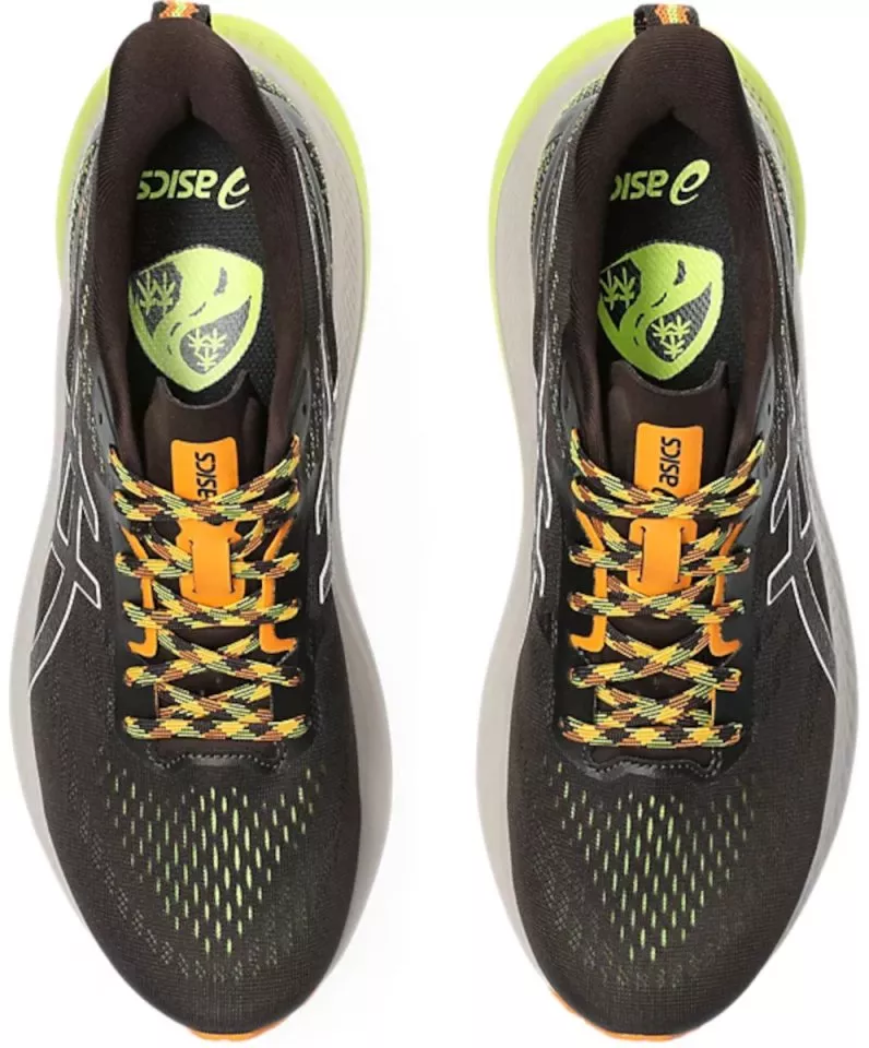 Scarpe per sentieri Asics GT-2000 12 TR