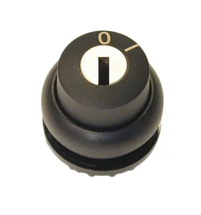 Testa selettore Eaton serie RMQ Titan, 2 posizioni